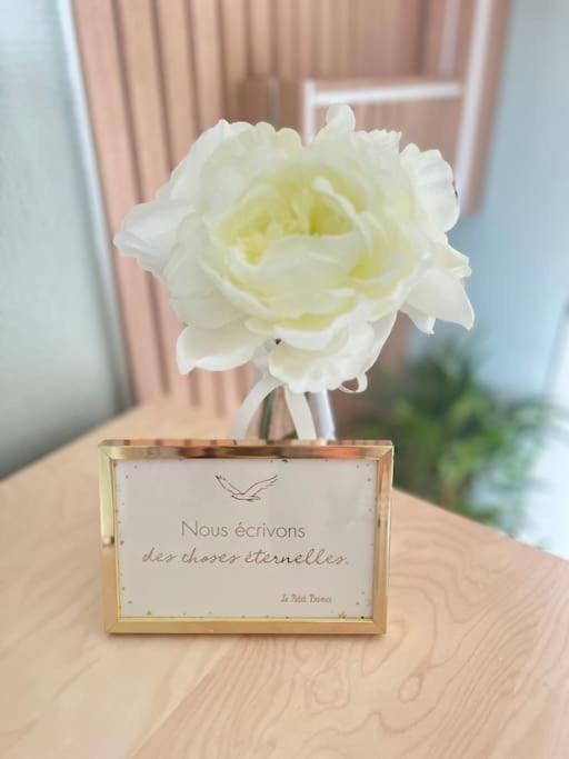 Charming Studio Appartamento